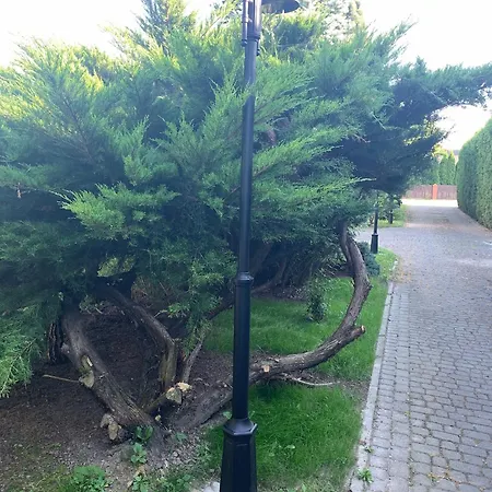 250 M Z Basenem, Jacuzzi, Ogrodem , Tarasem Oraz 2 Hektary Sadu , Kominek I Inne Atrakcje * Buczkowice