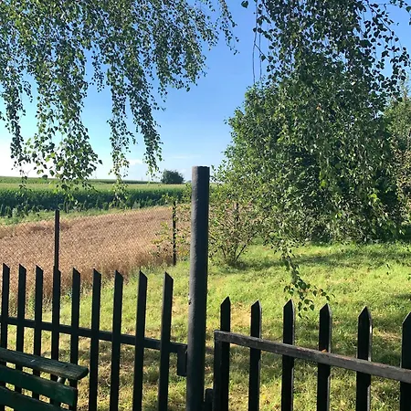 250 M Z Basenem, Jacuzzi, Ogrodem , Tarasem Oraz 2 Hektary Sadu , Kominek I Inne Atrakcje Вилла Buszkowice (Przemysl)